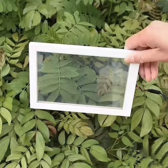 Protection de la vie privée commutable de 5 mm Pdlc Smart Glass pour la maison